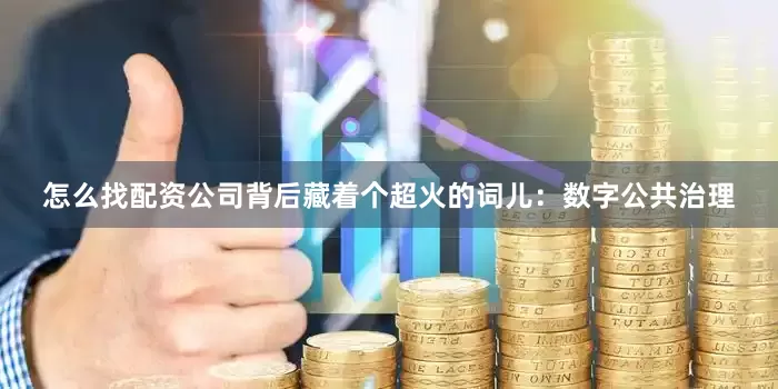 怎么找配资公司背后藏着个超火的词儿：数字公共治理