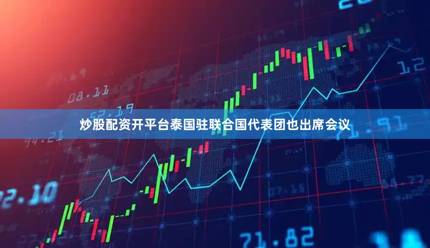 炒股配资开平台泰国驻联合国代表团也出席会议