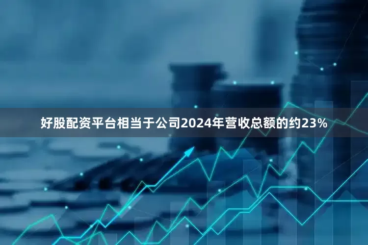 好股配资平台相当于公司2024年营收总额的约23%