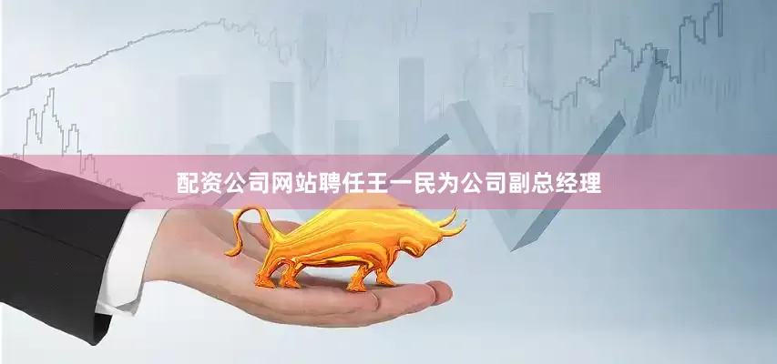配资公司网站聘任王一民为公司副总经理
